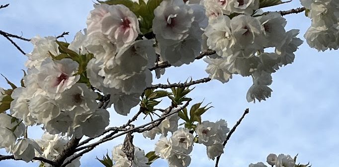 個別指導塾ＵＮＩ